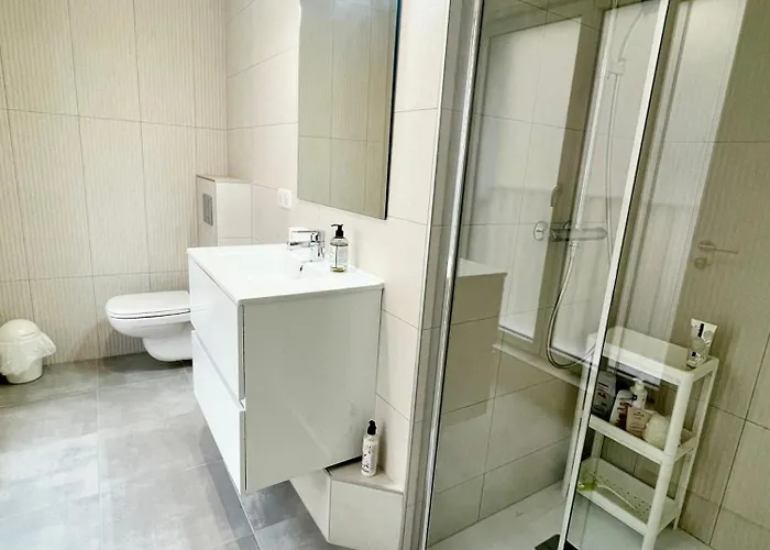 Apartment Neuf Entier Petite France