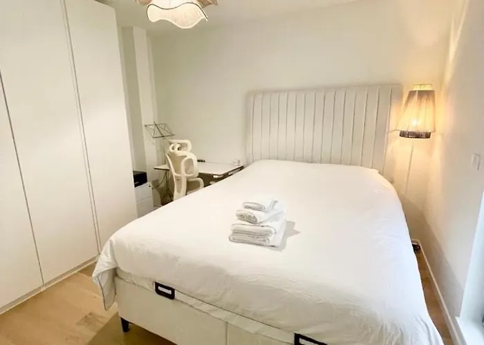Neuf Entier Petite France Apartment