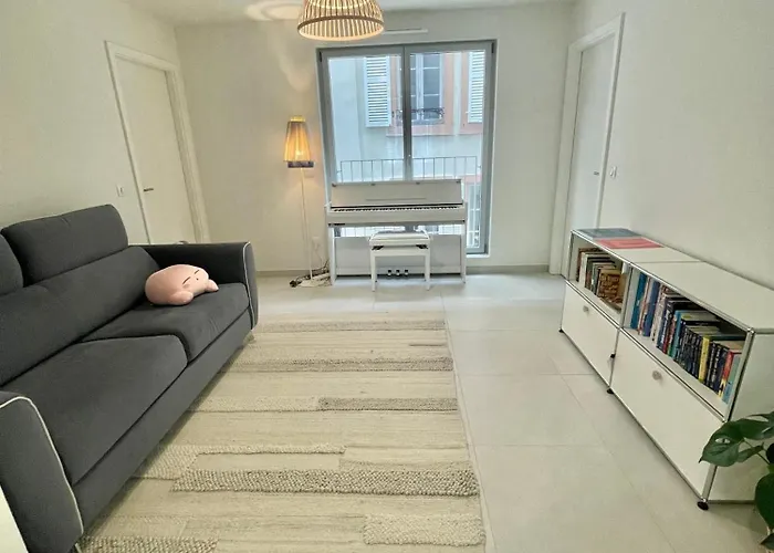 Neuf Entier Petite France Apartment Straßburg